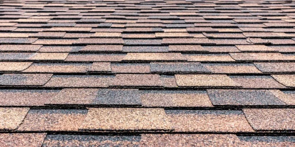 shingle roof